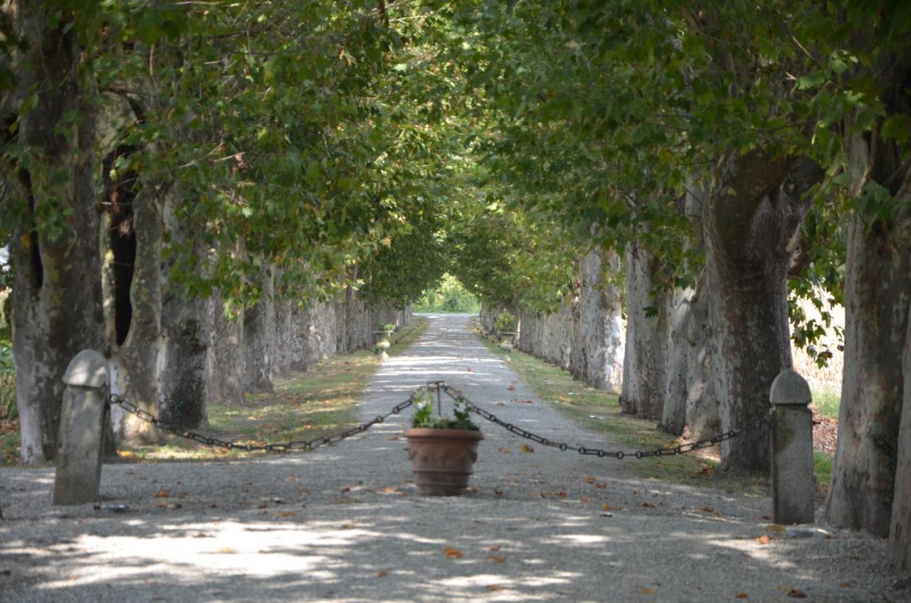 B&B Il Castelletto Pinerolo Dış mekan fotoğraf